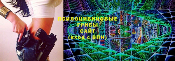ГАЛЛЮЦИНОГЕННЫЕ ГРИБЫ Бикин