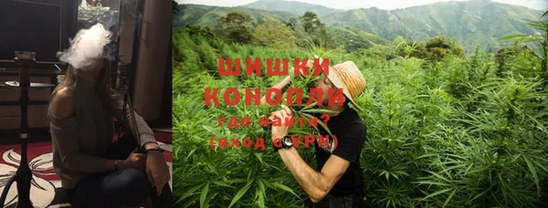 шишки Нефтегорск