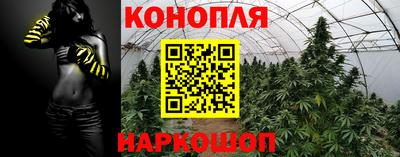 гидра Балашиха