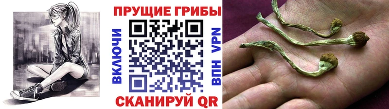 Псилоцибиновые грибы мицелий  мега сайт  Искитим 