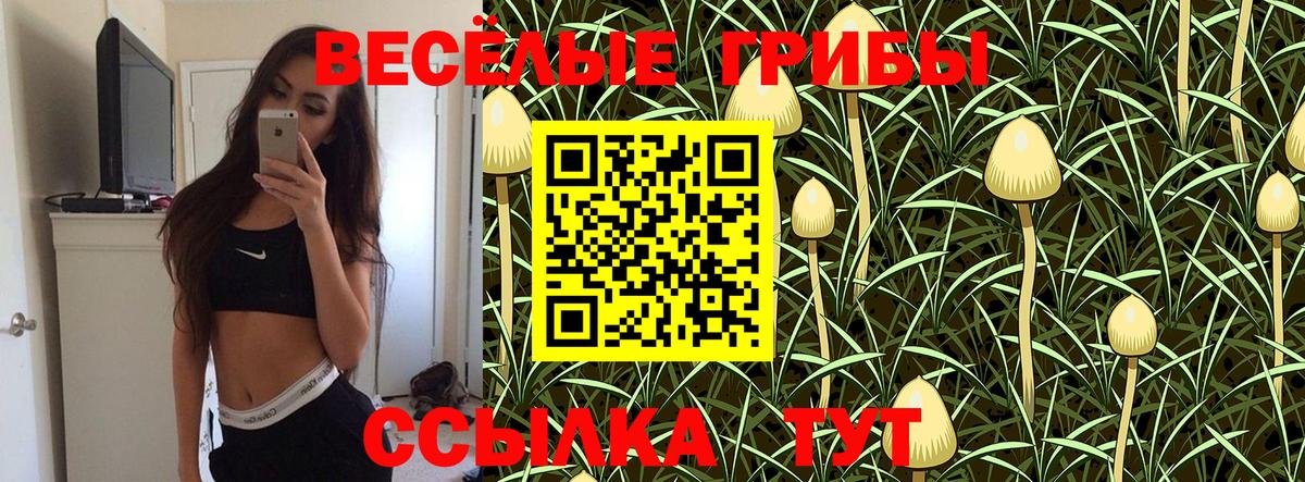 Галлюциногенные грибы ЛСД  Искитим 