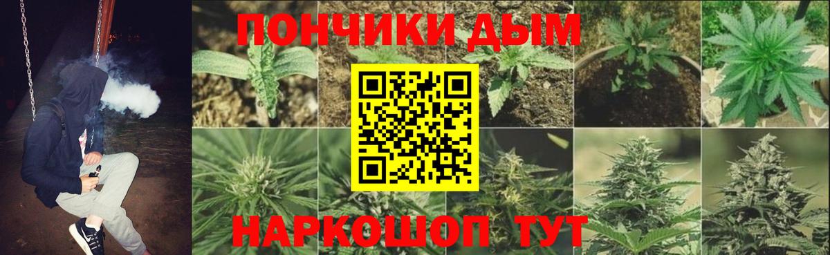 Бошки Шишки конопля  Марихуана MAZAR  Искитим  Бошки Шишки гибрид  Вход с VPN 